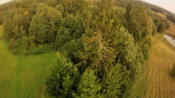 Paisaje forestal vista aérea — Vídeo de stock