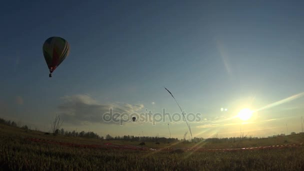 Kleurrijke hete luchtballon is vliegen bij zonsopgang — Stockvideo