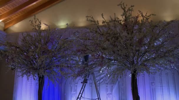 Искусственные деревья с гирляндами для свадебной вечеринки — стоковое видео