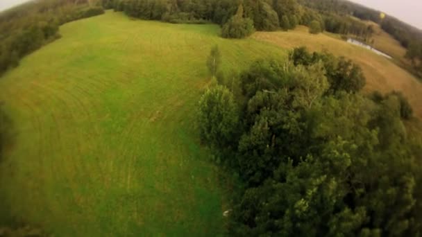 Sobrevolando prados rodeados de bosque — Vídeo de stock