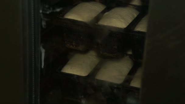 Produktion av bröd. Bröd i former till proofing — Stockvideo