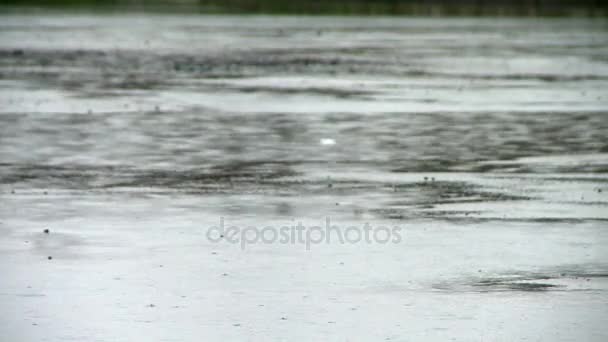 Deštivý den v blízkosti břehu řeky v létě. — Stock video