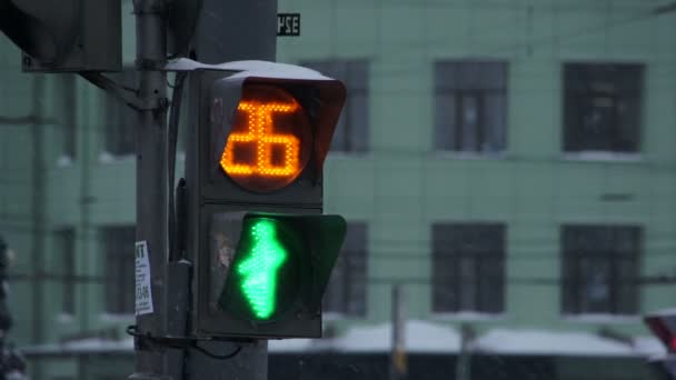 Ampel auf der Straße — Stockvideo