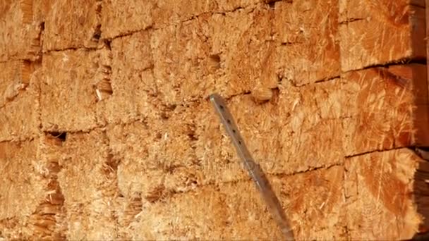 Бросать ножи, которые застряли в деревянной стене — стоковое видео