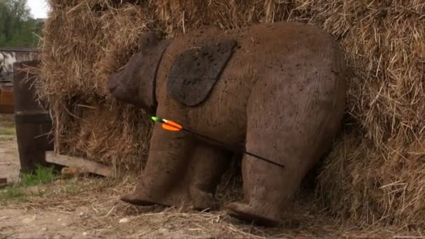 화살표 곰 그림으로 붙어 촬영 — 비디오