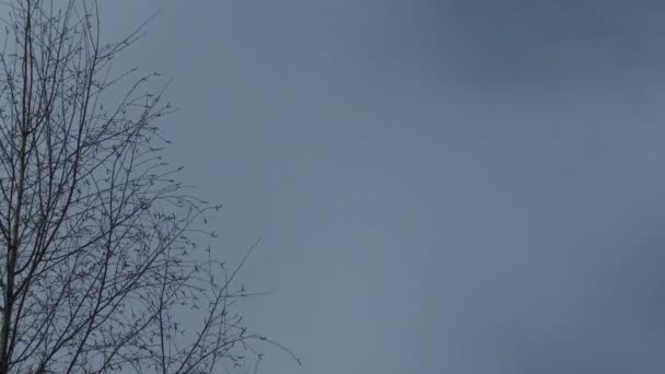 Cielo con nubes flotando en el día ventoso lapso de tiempo — Vídeo de stock