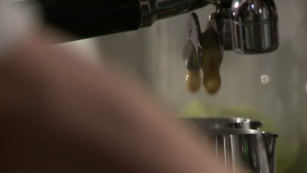 Att göra kaffe i elektriska kaffebryggare i ett café — Stockvideo