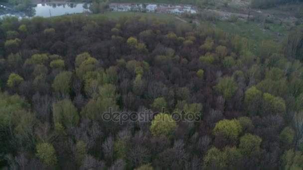 Forest landscape aerial shot. — Stock Video