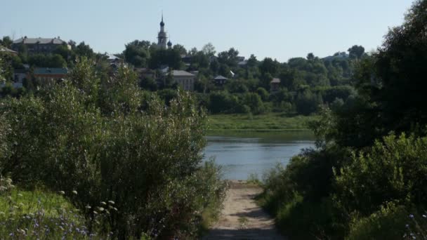 Sommer Fluss und Wald am Flussufer — Stockvideo