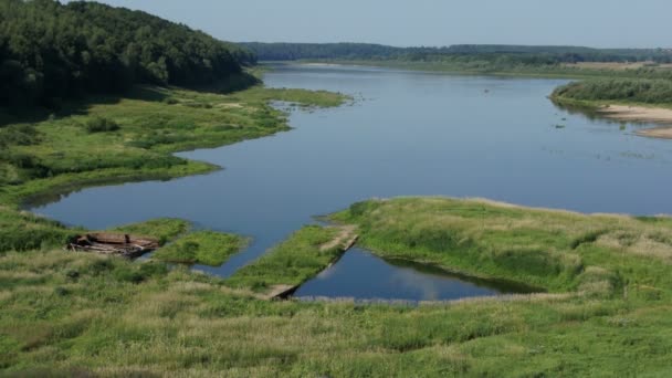 川や森のある夏の風景 — ストック動画