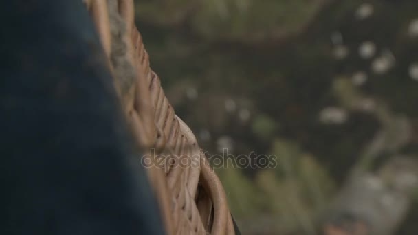 Paysage avec vue aérienne sur la forêt et la ville 