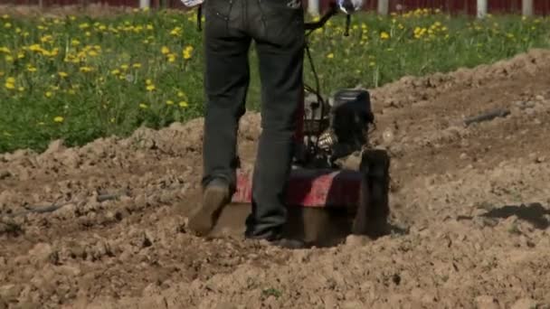 Mann pflügt Land mit Ackerbauern um — Stockvideo