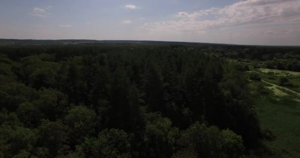 Luchtfoto van een dikke bos in de zomer — Stockvideo