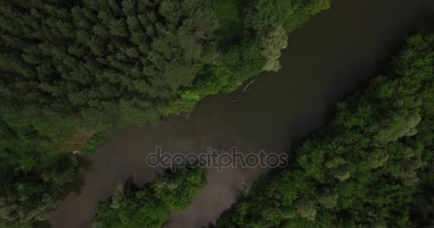Vista aérea de un pequeño río en verano — Vídeo de stock