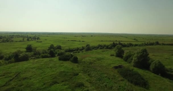 Vista aérea de un paisaje de verano ruso — Vídeo de stock