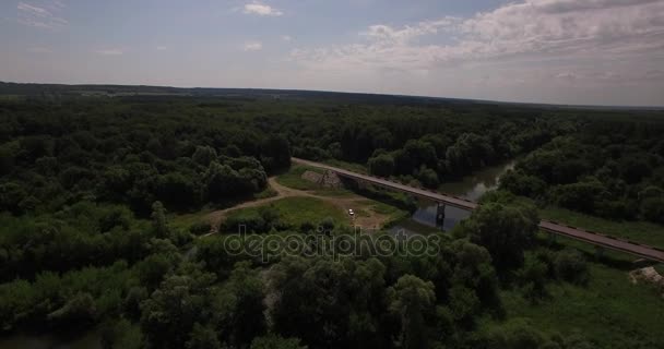 Luchtfoto van een dikke bos in de zomer — Stockvideo