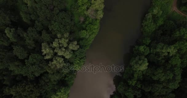 Вид на повітря маленької річки влітку — стокове відео