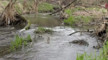 Creek yakınındaki severage sistemi.