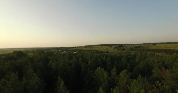 Вид з повітря на густий ліс в літній вечір — стокове відео
