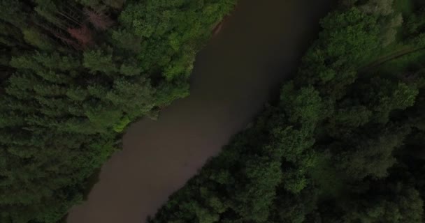 Widok z lotu ptaka nad niewielką rzeką w lecie — Wideo stockowe