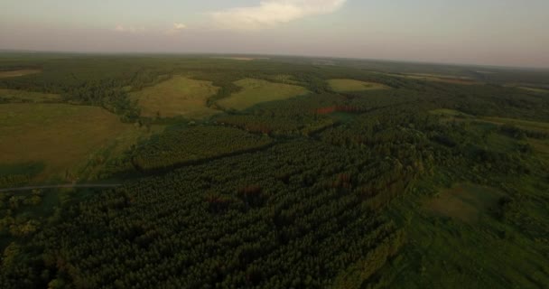 Widok z lotu ptaka krajobraz wieczór rosyjski — Wideo stockowe