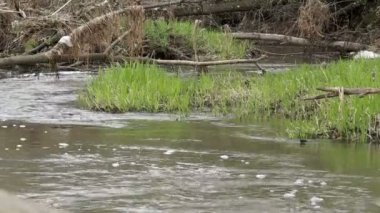 Creek yakınındaki severage sistemi.
