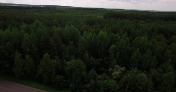 Vista aerea su una piccola strada tra boschi profondi — Video Stock