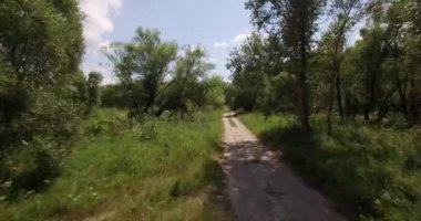 Küçük orman yolu havadan görünümü