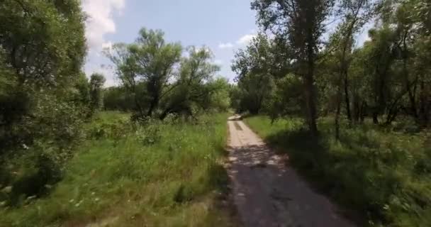 Luchtfoto op de weg van een klein bos — Stockvideo