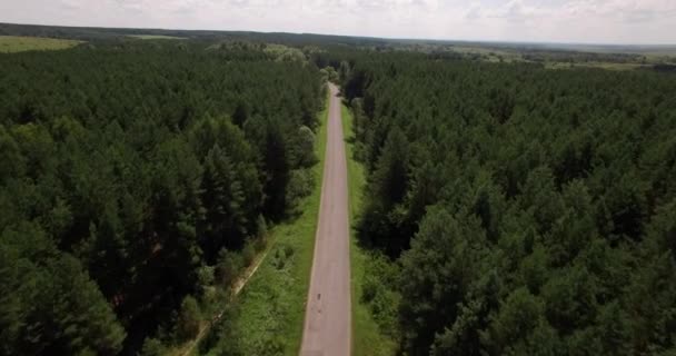 美丽的森林和小马路鸟瞰图 — 图库视频影像