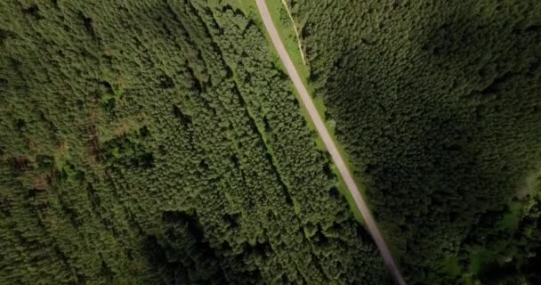 Nature en été vidéo à bord de montgolfière 