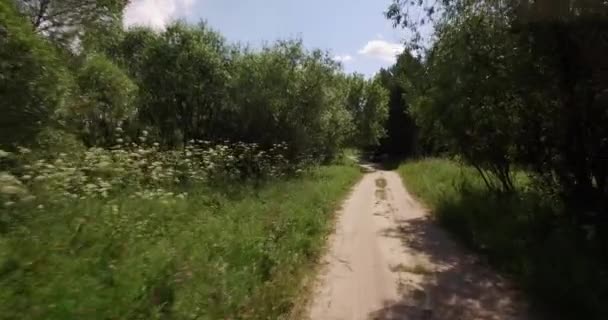Вид с воздуха на небольшую лесную дорогу — стоковое видео