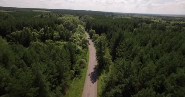 Vacker skog och liten väg Flygfoto — Stockvideo
