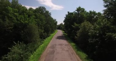 Küçük orman yolu havadan görünümü