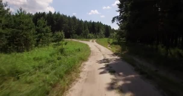 Luchtfoto op de weg van een klein bos — Stockvideo