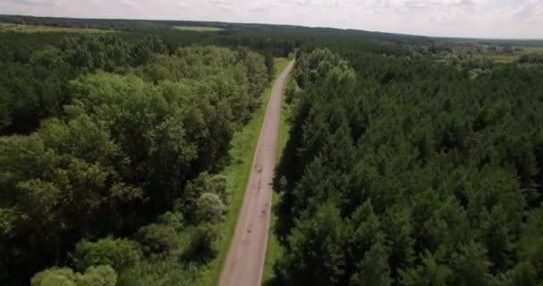 Piękny las i małe drogi widok z lotu ptaka — Wideo stockowe