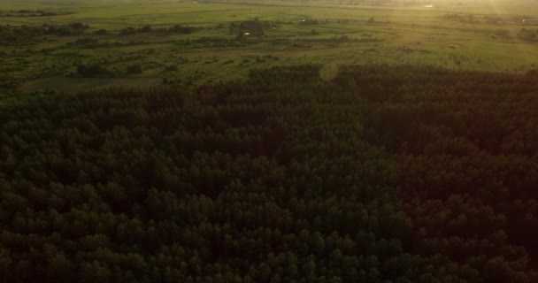 Veduta aerea di un paesaggio serale russo — Video Stock