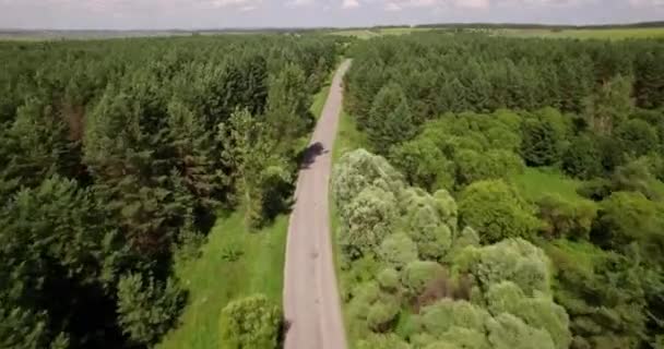 Schöner Wald und kleine Straße Luftaufnahme — Stockvideo