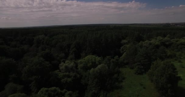 Luchtfoto van een dikke bos in de zomer — Stockvideo
