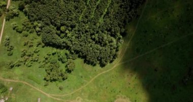 Yaz sıcak hava balonu gemide video doğada