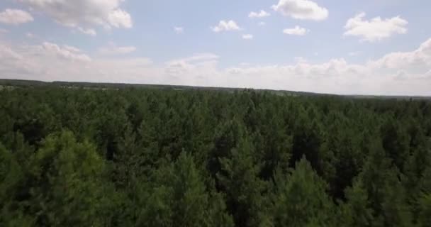 Latać nad pięknym lesie ptaka — Wideo stockowe