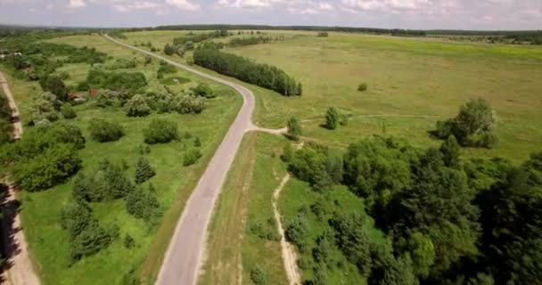 Воздушный вид на лес и небольшую дорогу — стоковое видео