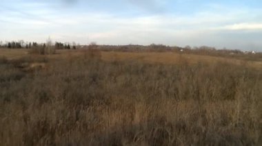 Ormanın üzerindeki vadi manzaralı havacılık videosu