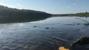 Terk edilmiş nehir kıyısında yaz günü manzarası