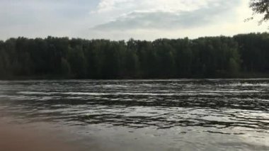 Yaz günü nehir kıyısı manzarası videosu