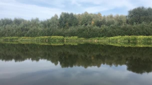 Río riberas paisaje vídeo desde a bordo del barco — Vídeos de Stock