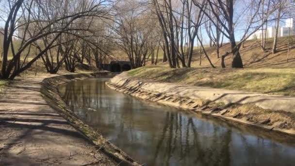 Printemps parc paysage ensoleillé vidéo 