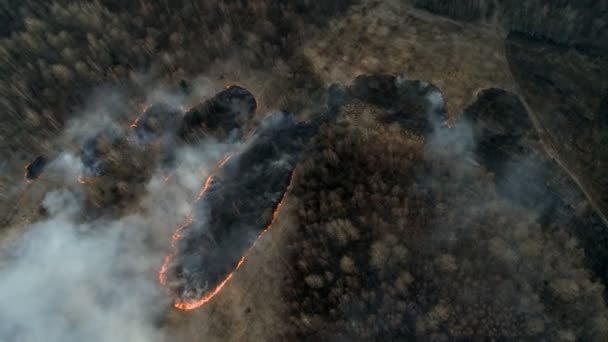 Forest and valley wildfire video — Stock Video