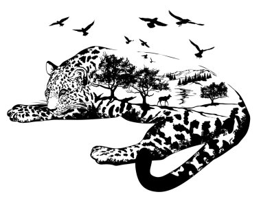 Vektör çift pozlama, elle çizilmiş jaguar