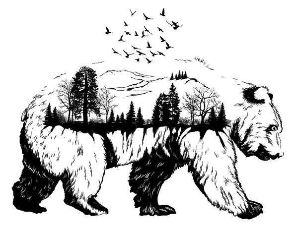 Exposição dupla, urso desenhado à mão —  Vetores de Stock